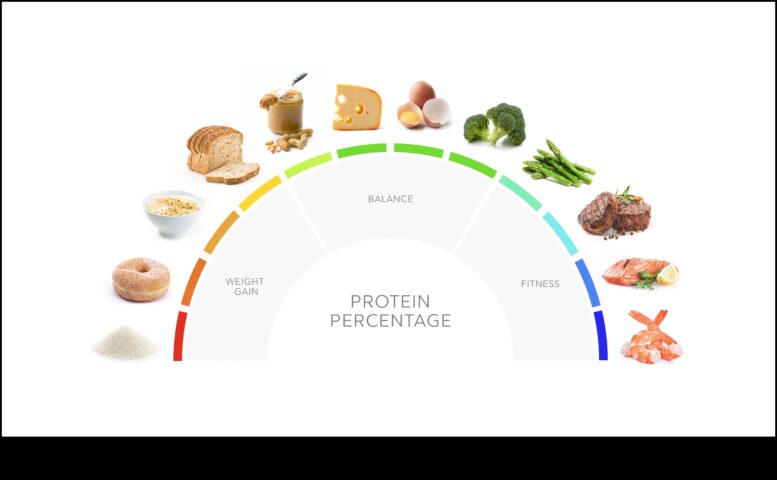 Dieta bogată în proteine ​​Ce este și de ce funcționează