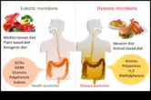 Microbiomul intestinal Impactul unei diete pe termen scurt